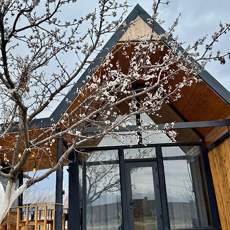 Coral Houses Tossor Exterior foto